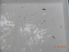 DSCN9573