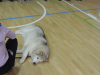 DSCN3261