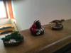 img-2868