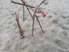 img_20201204_154501
