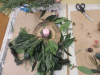 1_DSCN3152