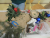 DSCN3105