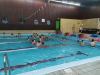 IMG_20231213_101246