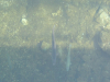 dscn6200