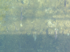 dscn6202