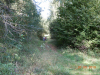 dscn4309